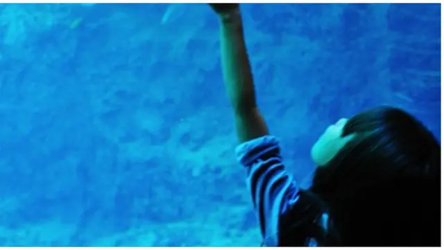 Foto; copyright brainwreck.com