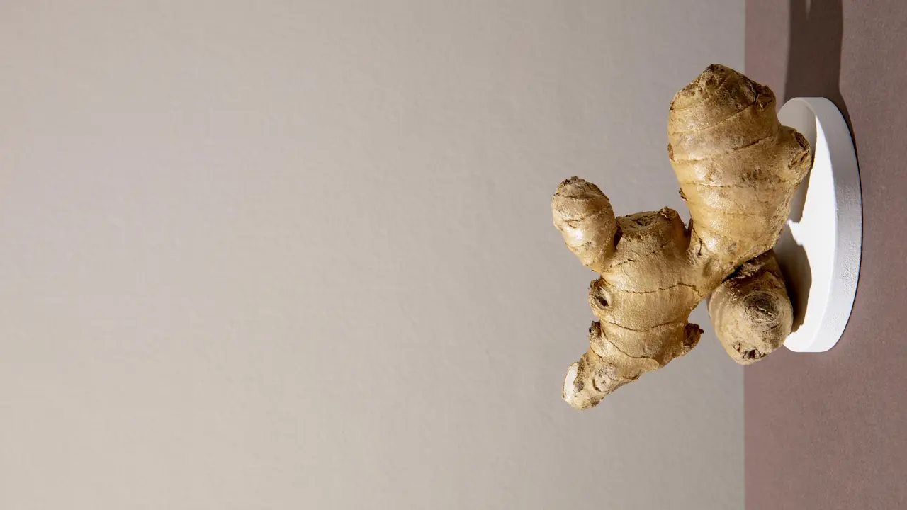 Jahe Emprit, Potensi Herbal Nusantara yang Kecil tapi Pedasnya Paling Kuat