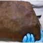 Dikira Emas, Ternyata Pria Ini Temukan Batu Meteroit Berusia 4,6 Miliar Tahun (Sumber: Mirror.co.uk)