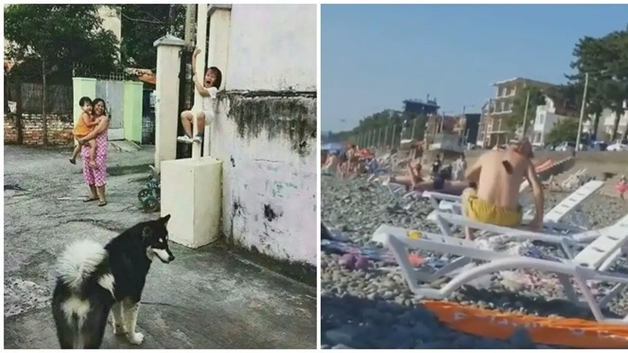 Kelakuan Orang Saat Panik Ini Lucu dan Bikin Geregetan