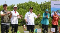 Cegah Abrasi dan Rob, Taj Yasin Tanam 1.000 Mangrove di Sayung Demak