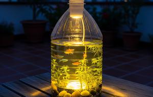 Desain Akuarium dari Galon Bekas (Image by Gemini AI)