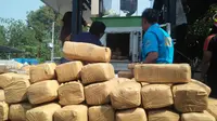 Barang bukti ganja di kantor BNN Propinsi Banten.