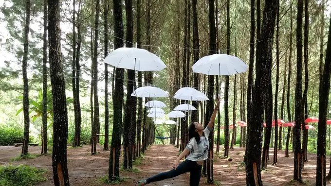 [Bintang] Jawa Timur