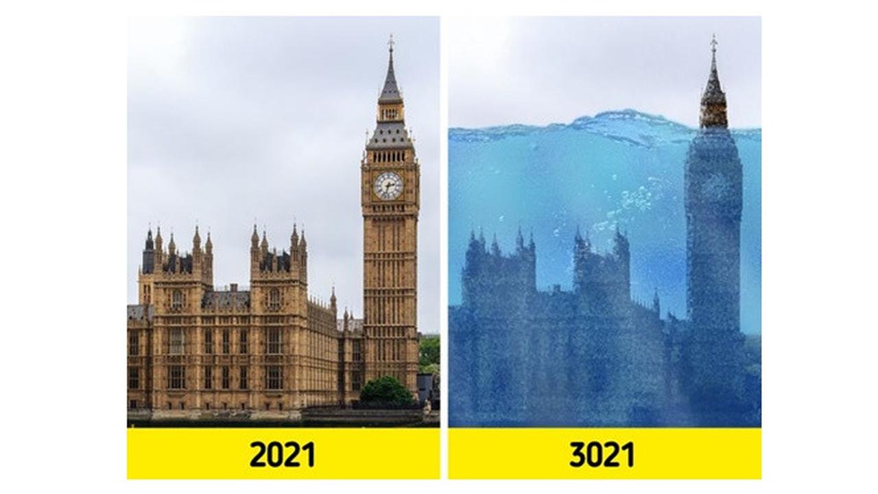 6 Potret Penampakan Bumi 1.000 Tahun Mendatang, Hewan Peliharaan Perlahan Punah