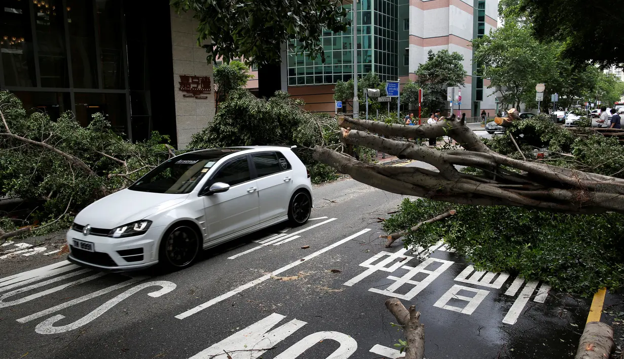 Sebuah mobil melintas diantara pohon-pohon yang tumbang akibat angin yang kuat di Hong Kong, China, 2 Agustus 2016. Hongkong diterjang angin topan Nida. (REUTERS/Tyrone Siu)
