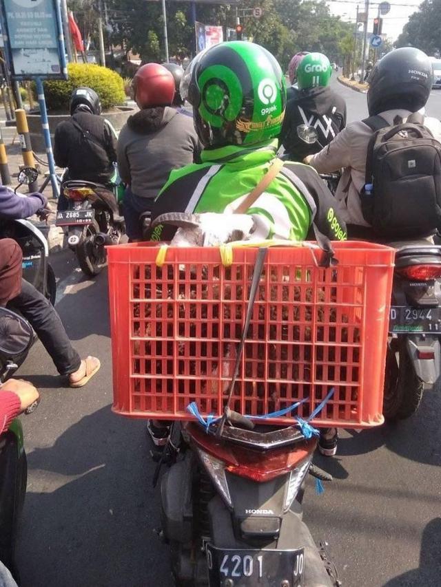 7 Potret Driver Ojek Online Bawa Barang Nyeleneh Ini Bikin Geleng Kepala