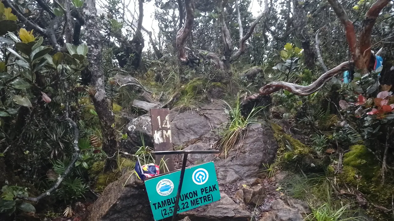 Gunung Tambuyukon terletak di area Taman Kinabalu. Gunung ini memiliki ketinggian 2.579 mdpl.