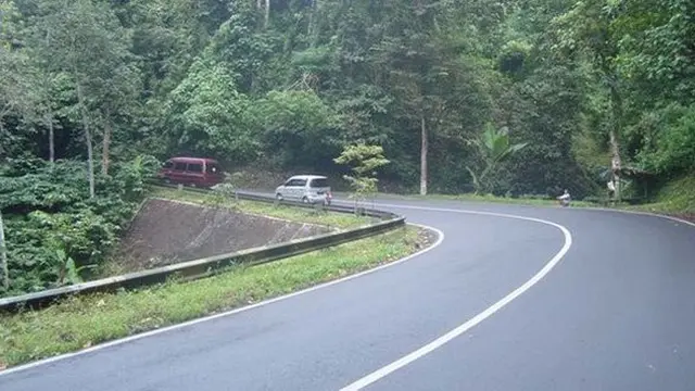 6 Potret Alas Gumitir di Banyuwangi yang Diduga Lokasi Asli Film 'KKN di Desa Penari'