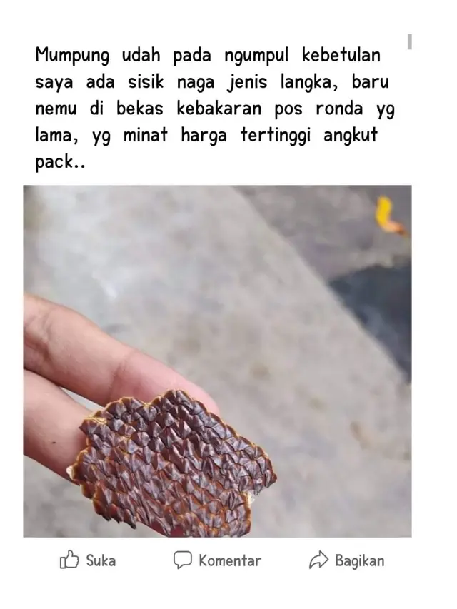 6 Barang Aneh yang Dijual di Facebook, di Luar Nalar