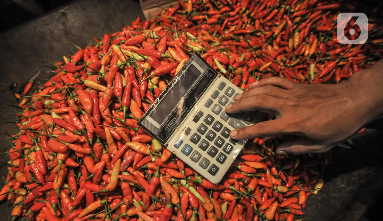Pedagang menghitung menggunakan kalkulatr di atas tumpukan cabai rawit yang dijual di Pasar Induk Kramat Jati, Jakarta Timur, Kamis (2/6/2022). Harga cabai rawit hijau naik menjadi Rp 55.000 dari harga sebelumnya Rp 45.000 per kilogram. (merdeka.com/Iqbal S Nugroho)