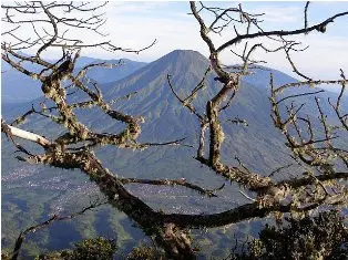 Gunung Sindoro