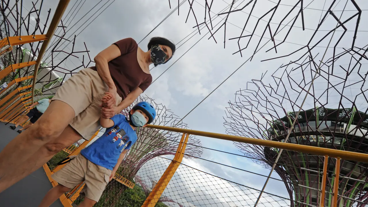 Supertree Grove, Pohon Raksasa Ikon Taman di Singapura Dibuka Kembali