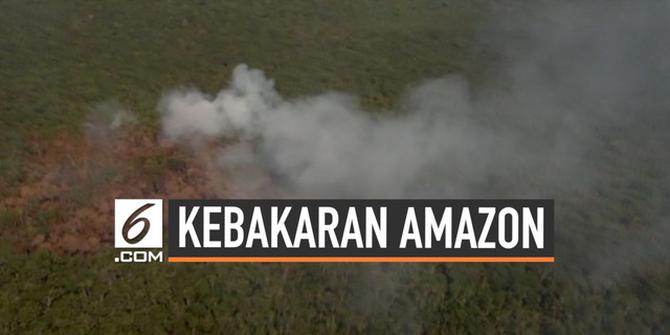 VIDEO: Kebakaran Hutan Amazon Terus Terjadi