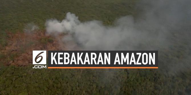 VIDEO: Kebakaran Hutan Amazon Terus Terjadi