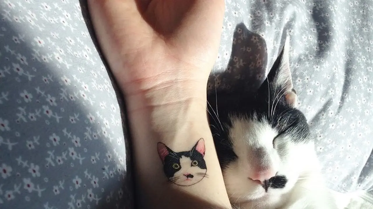 8 Tato Lucu, Cocok Bagi Kamu Pecinta Kucing