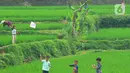 Anak-anak bermain layang-layang pada areal sawah di kawasan Sukamakmur, Bogor, Jumat (15/07/2022). Mereka menghabiskan waktu bermain saat mengisi waktu libur panjang  sekolah.
(merdeka.com/Arie Basuki)