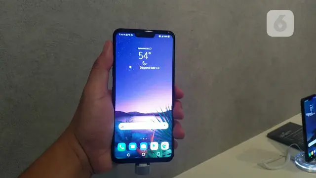 LG