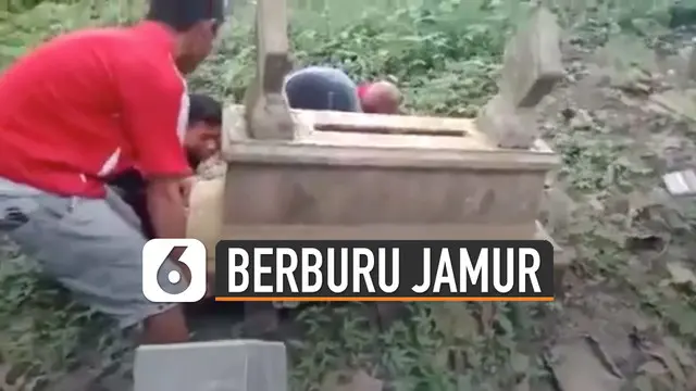 Aksi para pemuda ini cukup nekat demi mendapat jamur.