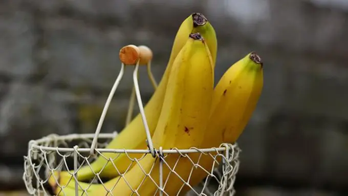 copyright pixabay.com