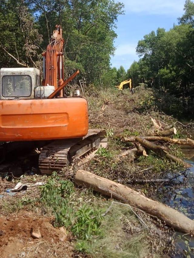 Dengan menggunakan dua unit alat berat jenis ekskavator, dan tali sling, mereka merobohkan ratusan pohon Mangrove dengan menggunakan tali sling. (Liputan6.com/Ahmad Yusran)