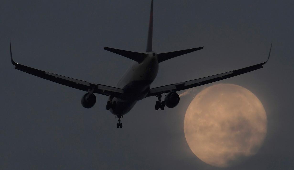 Sebuah pesawat bersiap mendarat di bandara Heathrow saat fajar dengan latar belakang Supermoon di London, Inggris, Senin (17/10). Fenomena bulan purnama terlihat lebih besar dan terang karena berada di jarak terdekat dengan bumi. (Reuters/Toby Melville)