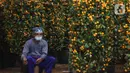 Pekerja beristirahat di dekat pohon jeruk Kim Kit yang dijual di Meruya, Jakarta Barat, Minggu (24/1/2021). Jeruk yang mungil dan berwarna kuning ini sering menjadi buruan para kaum Tionghoa untuk merayakan hari raya Imlek.   (Liputan6.com/Angga Yuniar)