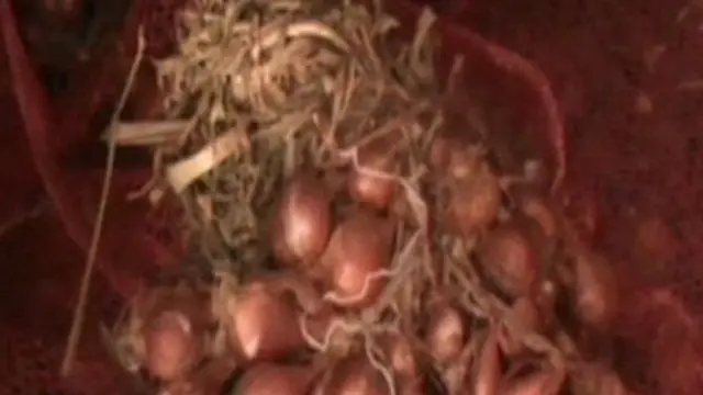 Penyelundupan Bawang Dari Malaysia Digagalkan