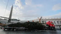 Pekerja dibantu alat berat bersiap untuk mendirikan pohon Natal raksasa di Lapangan Santo Petrus, Vatikan, Kamis (22/11). Pohon cemara yang didatangkan dari Hutan Consiglio di Italia ini tingginya mencapai 23 meter. (Tiziana FABI / AFP)