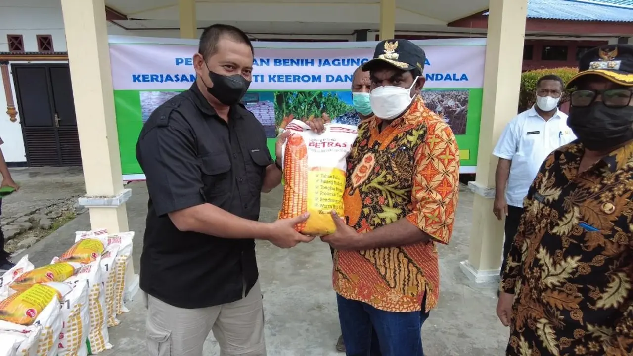 Dukung Food Estate, Kementan Salurkan Puluhan Ton Bibit Jagung ke Keerom