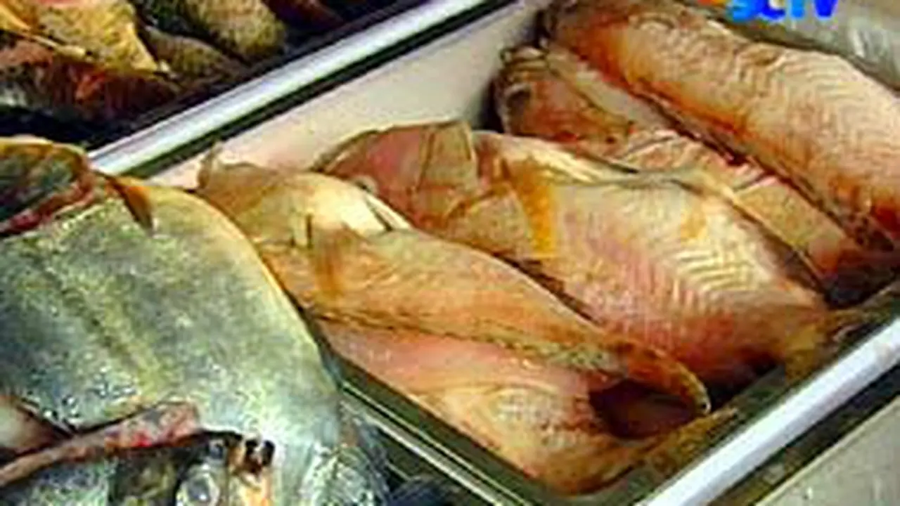 310806aformalin.jpg
