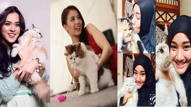 Tya Ariestya, Raisa, dan Fatin Shadqia pelihara kucing