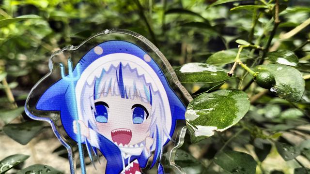 Hasil foto menggunakan Oppo A77s (Liputan6.com/Giovani Dio Prasasti)