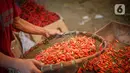 <p>Pedagang merapikan cabai rawit merah di Pasar Induk Kramat Jati, Jakarta, Senin (20/6/2021). Harga cabai rawit merah di pasar-pasar DKI Jakarta naik menjadi rata-rata Rp108.043 per kilogram (kg). Bahkan, di beberapa pasar harga cabai tembus Rp120 ribu per kg. (Liputan6.com/Faizal Fanani)</p>