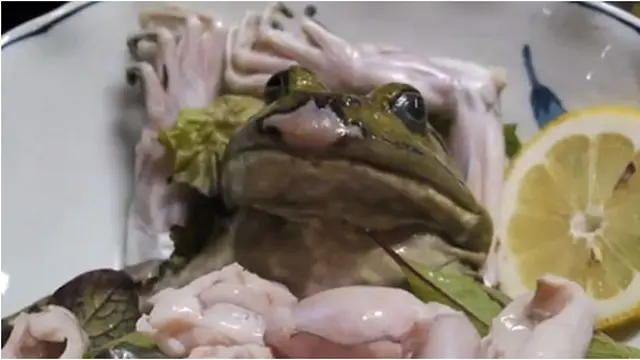 Courtesy bizarrefood.com