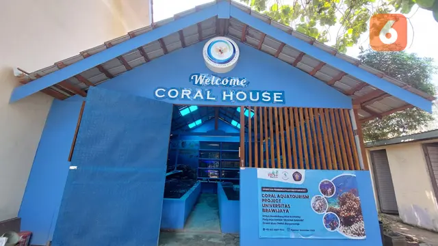 Coral House tempat sarana edukasi tentang biota laut di Destinawi wisata Grand Watudodol Banyuwangi (Hermawan Arifianto/Liputan6.com)