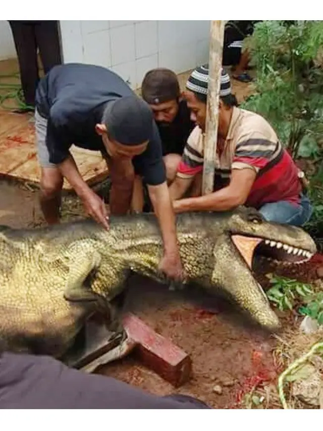 6 Editan Foto Jika Manusia Tinggal Bareng Dinosaurus Ini Kocak