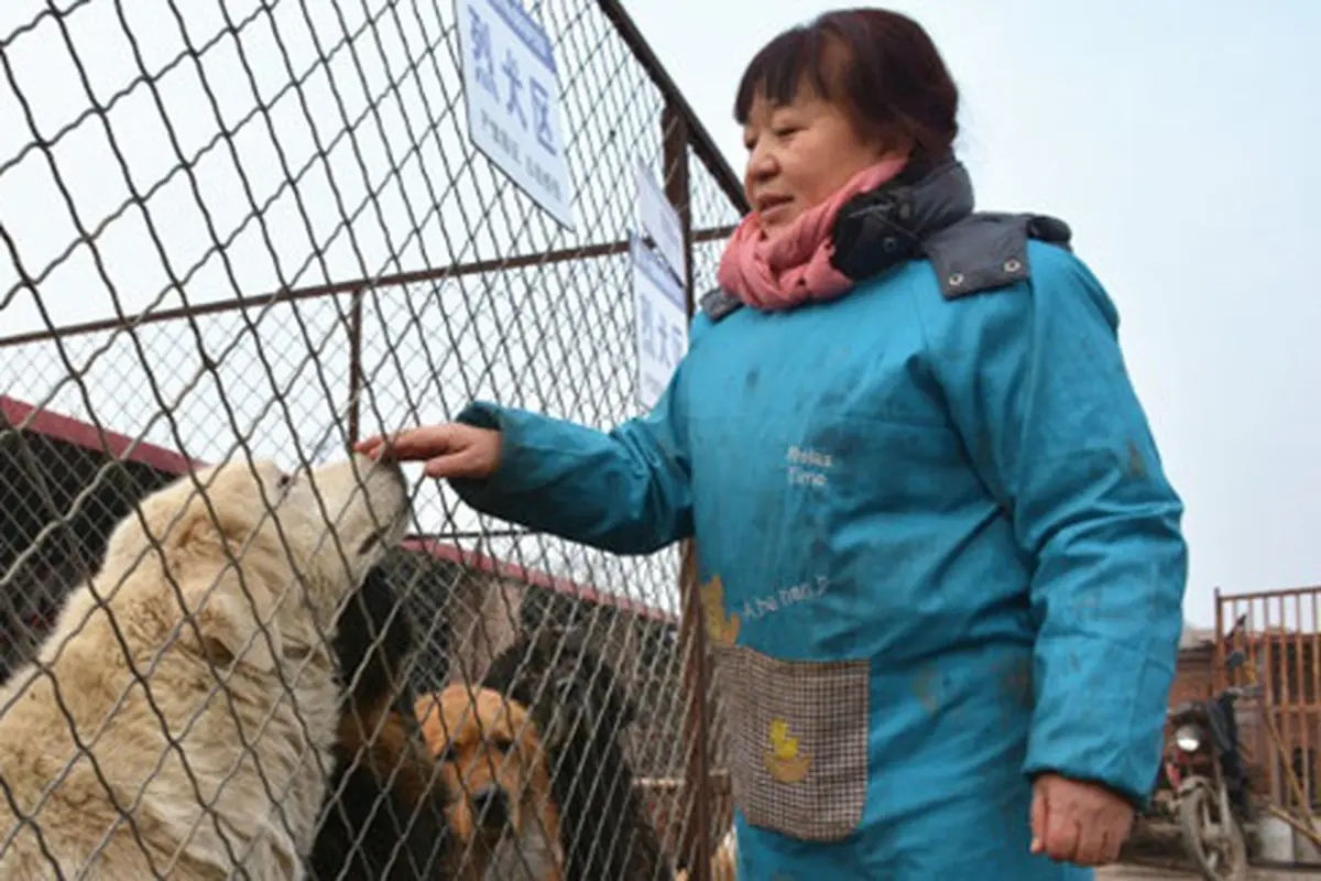 Photo: Copyright shanghaiist.com