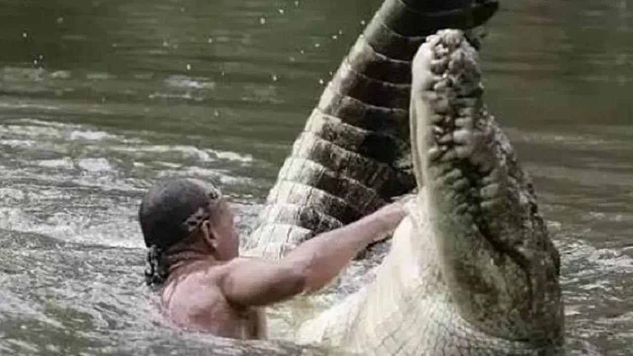 [Bintang] Buaya