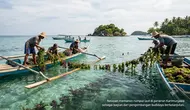 KKP Kucurkan Rp 9 Miliar untuk Budidaya Rumput Laut Karimunjawa