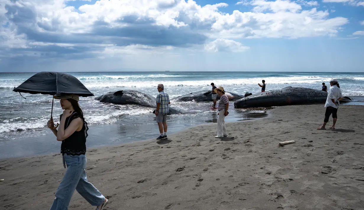Orang-orang melihat paus sperma yang mati di Pantai Heisaura, kota Tateyama, Prefektur Chiba, Jepang pada 31 Juli 2025. (Philip FONG/AFP)