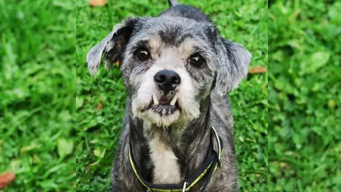 Photo: Copyright mirror.co.uk