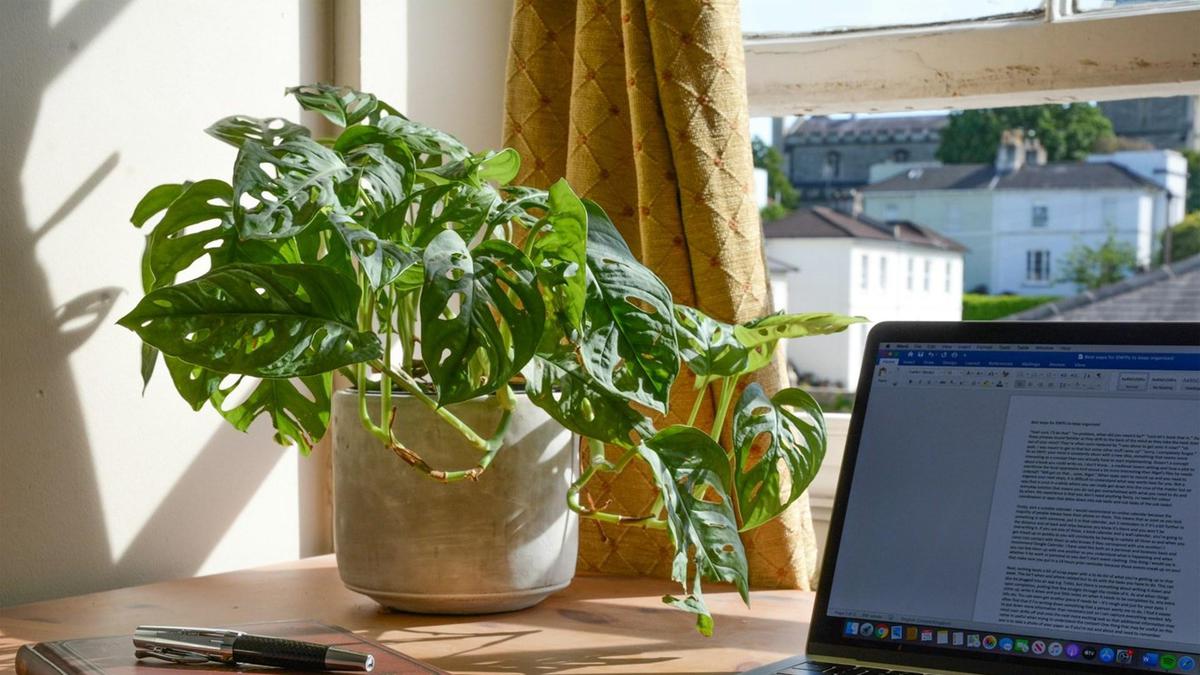 Sering Bekerja Remote atau WFH? Strategi Hemat Pulsa dan Data untuk Kerja Online