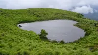 6 Hal Unik Berbentuk Hati, dari Lubang Jalan Hingga Semangka