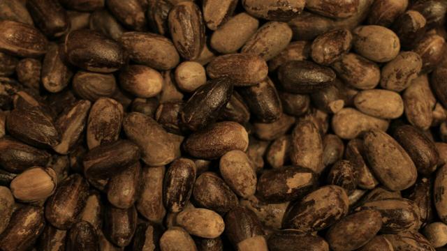 Korupsi dan Runtuhnya Kejayaan VOC di Nusantara - News ...