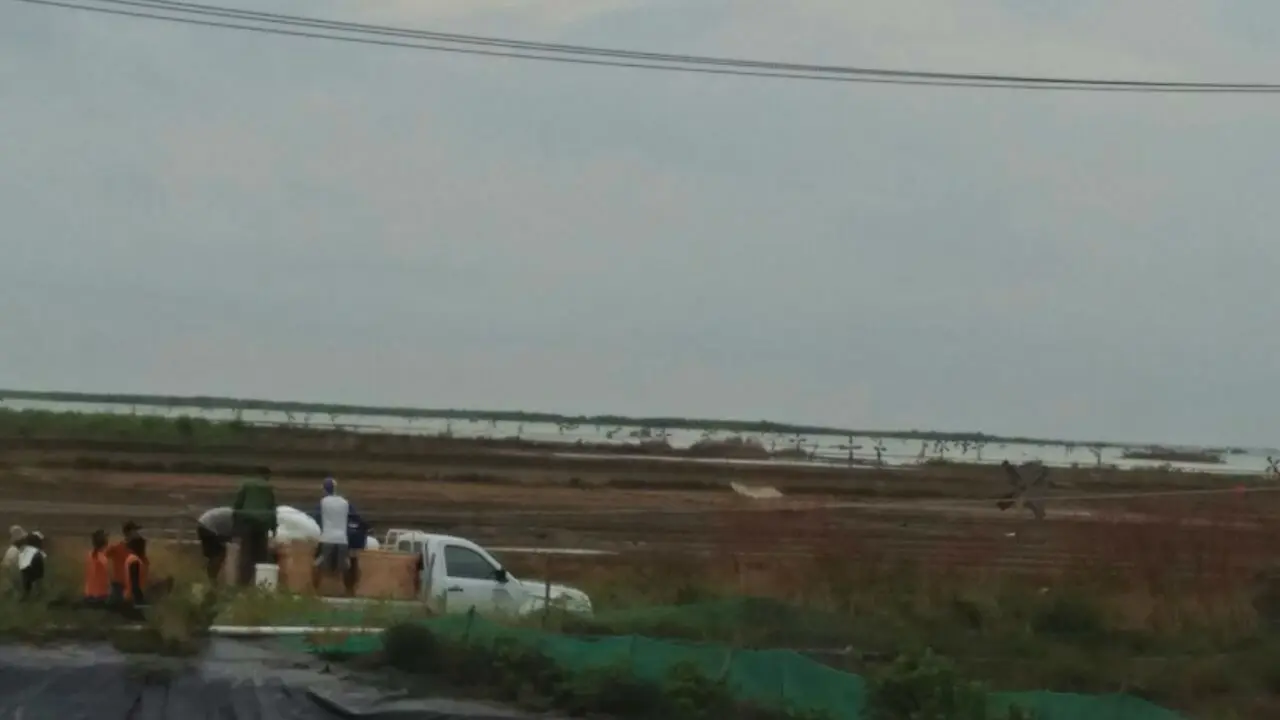 2.800 Hektare Lahan Garam Cirebon Kebanjiran Air Laut Saat Hendak Produksi