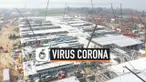 THUMBNAIL CORONA