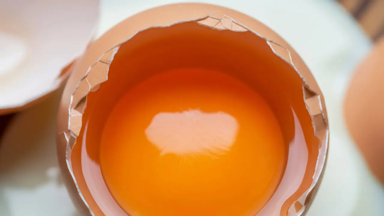 Manfaat Kuning Telur Omega untuk Kesehatan