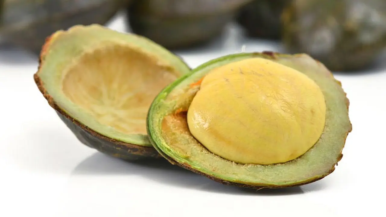 Harga jual jengkol menjelang puasa melejit hingga Rp 100 ribu per kilogram (kg) akibat kelangkaan pasokan. 