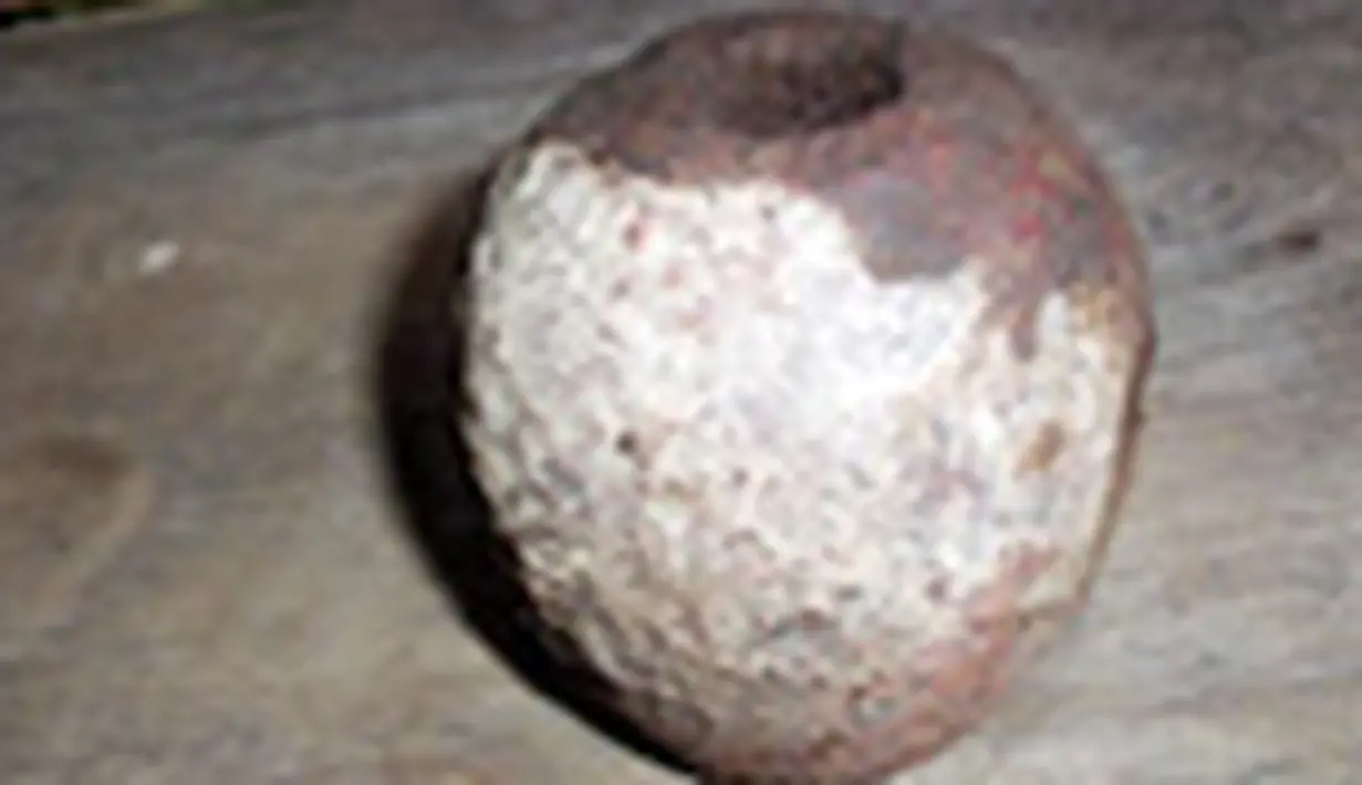 liputan6